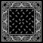 Picture for song 'Well Well Well' by artist 'Wacco Stern'