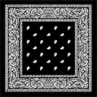 Picture for song 'Put Your Hood Up' by artist 'GhettoKidEastside'