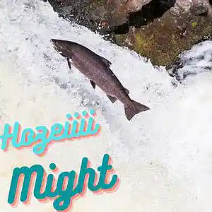 Picture for song 'MighT' by artist 'Hozeiiiix4'