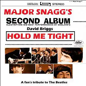 Picture for song 'Hold Me Tight' by artist 'Major Snagg'
