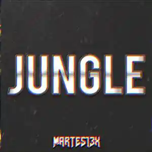 Picture for song 'Jungle 80 Bpm' by artist 'Martes13x'
