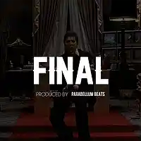Picture for song 'Final' by artist 'Parabellum Beats'