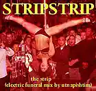Picture for song 'THE STRIP (utnapishtim's electric funeral mix)' by artist 'STRIPSTRIP'