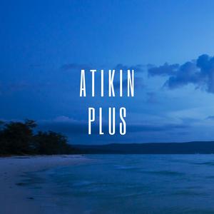 Picture for song 'Plus' by artist 'Atikin'