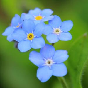 Picture for song 'Everything' by artist 'Beth Jetton'