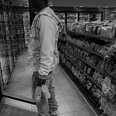 Picture for song 'Lisa / Detroit Type Beat Rap/Trap Instrumental' by artist 'canice.music'