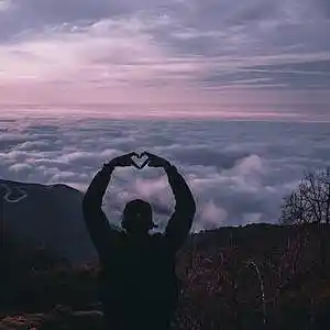 Picture for song 'Ceeya & Barish - Herz aus Gold (Prod. by Emde51)' by artist 'CeeyaMusik'