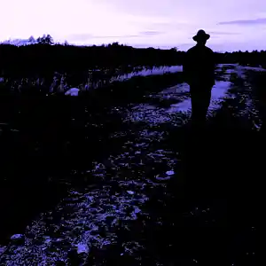 Song picture