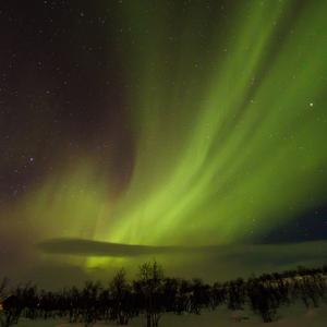 Picture for song 'Magnet' by artist 'Faaber'