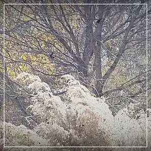 Picture for song 'GRN Music - melody 12' by artist 'Greg R. Norton'