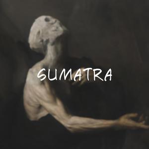 Picture for song 'Sumatra' by artist 'Heizie'
