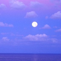 Picture for song 'Balamroon' by artist 'Jazmahalis'