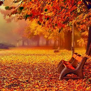 Picture for song 'Sometimes in Autumn' by artist 'jsf'