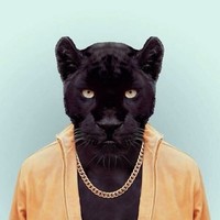 Picture for song 'PANTHER.' by artist 'Klever Beats'
