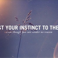 cover pic