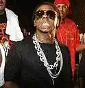 Picture for song 'shawty say f/ lil wayne (freeDL) untagged' by artist 'LetEmBurn'