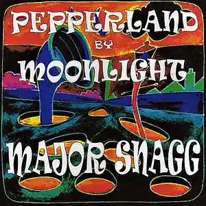 Picture for song '03 Pepperland By Moonlight' by artist 'Major Snagg'