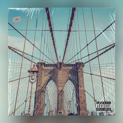 Picture for song '"Brooklyn Summers"- Boom Bap Joey Bada$$ type beat' by artist 'Matt Shi'