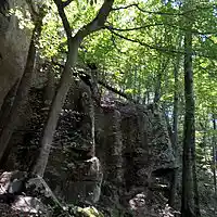 Picture for song 'Symphony No. 1, Mvt. 2' by artist 'Michael Fanning'