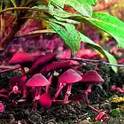 Picture for song 'Evening Drive' by artist 'Mira's Musiclab'