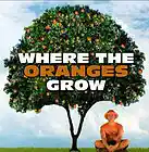Picture for song 'Where the Oranges Grow' by artist 'Mono Mono'
