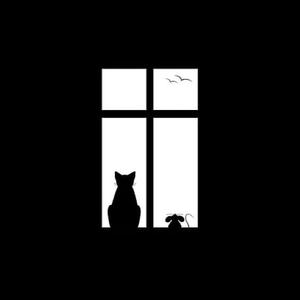 Picture for song 'Cat and Mouse 98 bpm B Minor' by artist 'Orko Beats'