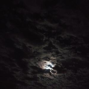 Picture for song 'Simply Sensational: Rio Blanco Moon Session' by artist 'paul gorman and the hypnotist collectors'