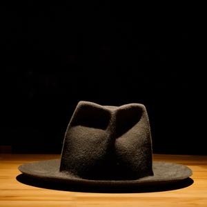 Picture for song 'That Hat From Mexico' by artist 'paul gorman and the hypnotist collectors'