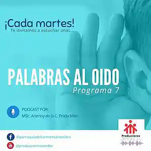 Picture for song 'Palabras al oído - Programa 7' by artist 'Producciones Vandor'