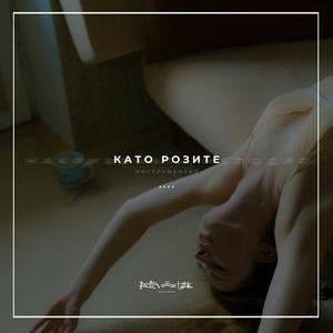 Picture for song '13. Like roses' by artist 'RapaNizze'