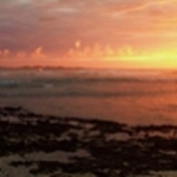 Picture for song 'Driftwood' by artist 'The Smivets'