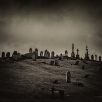 Picture for song 'The Bare Bones of Our Love' by artist 'Tonedeaf Del'