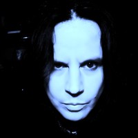 Picture for song 'Phoenix Rise Higher' by artist 'Vampire Division'