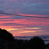 Picture for song 'House Carpenter' by artist 'Viking Blues'