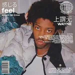Picture for song 'feel' by artist 'wayne.prods'