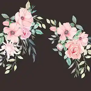 Picture for song 'Habanera' by artist 'YOUNG RILL'