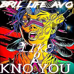 Picture for song 'LIKE 2 KNO YOU' by artist 'BriL-LifeAvo'