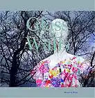 Picture for song 'Glass Wall: August, 25, 2009' by artist 'Bruise In Blues'