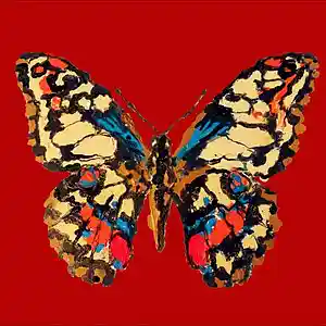 Picture for song 'dineroo - dont pull up (Prod. NITE)' by artist 'dineroo'