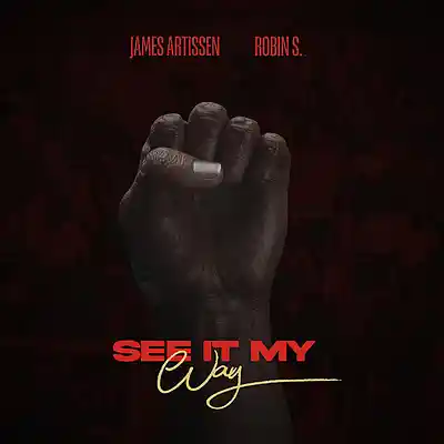 Picture for song 'See It My Way' by artist 'James Artissen'