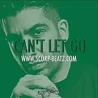 Picture for song 'SCORP BEATZ - CAN'T LET GO' by artist 'Scorp Beatz'