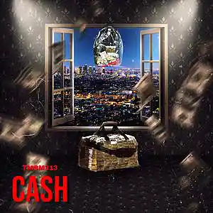 Picture for song 'Cash' by artist 'TMBM313'
