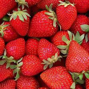 Picture for song 'Chaos, Bass and Strawberries' by artist 'XL73'