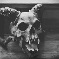 Picture for song 'El Diablo' by artist 'YoungCapoRage'