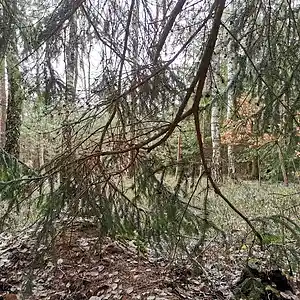 Picture for song '20240222_140005_wartend_fs' by artist '786 scheint-Al'lahs Bande'