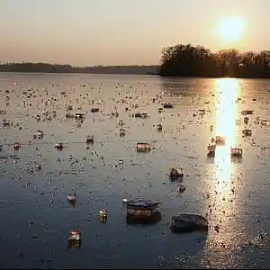 Picture for song 'Johanniter-Waltz' by artist 'Andi Wendt'