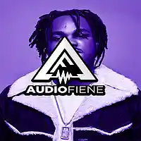 Picture for song 'FakFranz' by artist 'Audio Fiene'