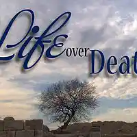 Picture for song 'CHOOSE LIFE (CAPA)' by artist 'capa'