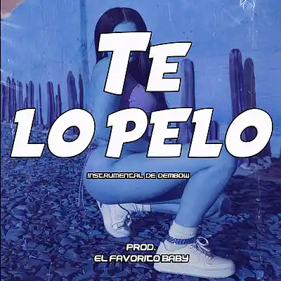 Picture for song 'INSTRUMENTAL - TE LO PELO' by artist 'Flow Nueva Era'