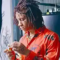 Picture for song 'Castles' by artist 'Ice Starr'